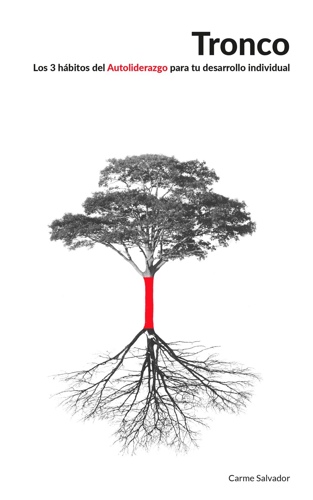 Sesión de coaching de equipos con directivos.